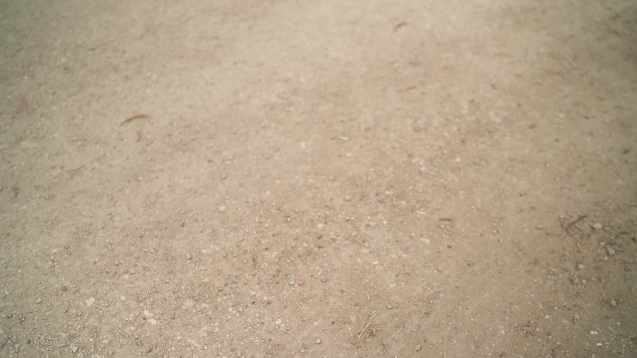 The Woman's Feet as She Walks Through the Park - Slow Motion