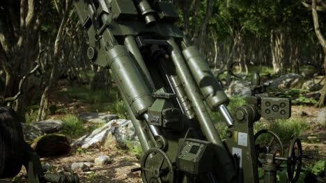 big gun cannon in the forest