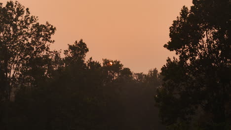 Die-Drohnenaufnahme-Zeigt-Den-Sonnenuntergang-Im-Riesigen-Wald-In-Der-Terai-Region-In-Nepal