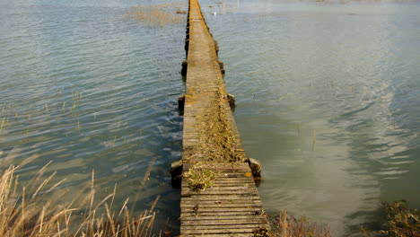 wide mid shot of a long wooden jetty with flooding debris on top