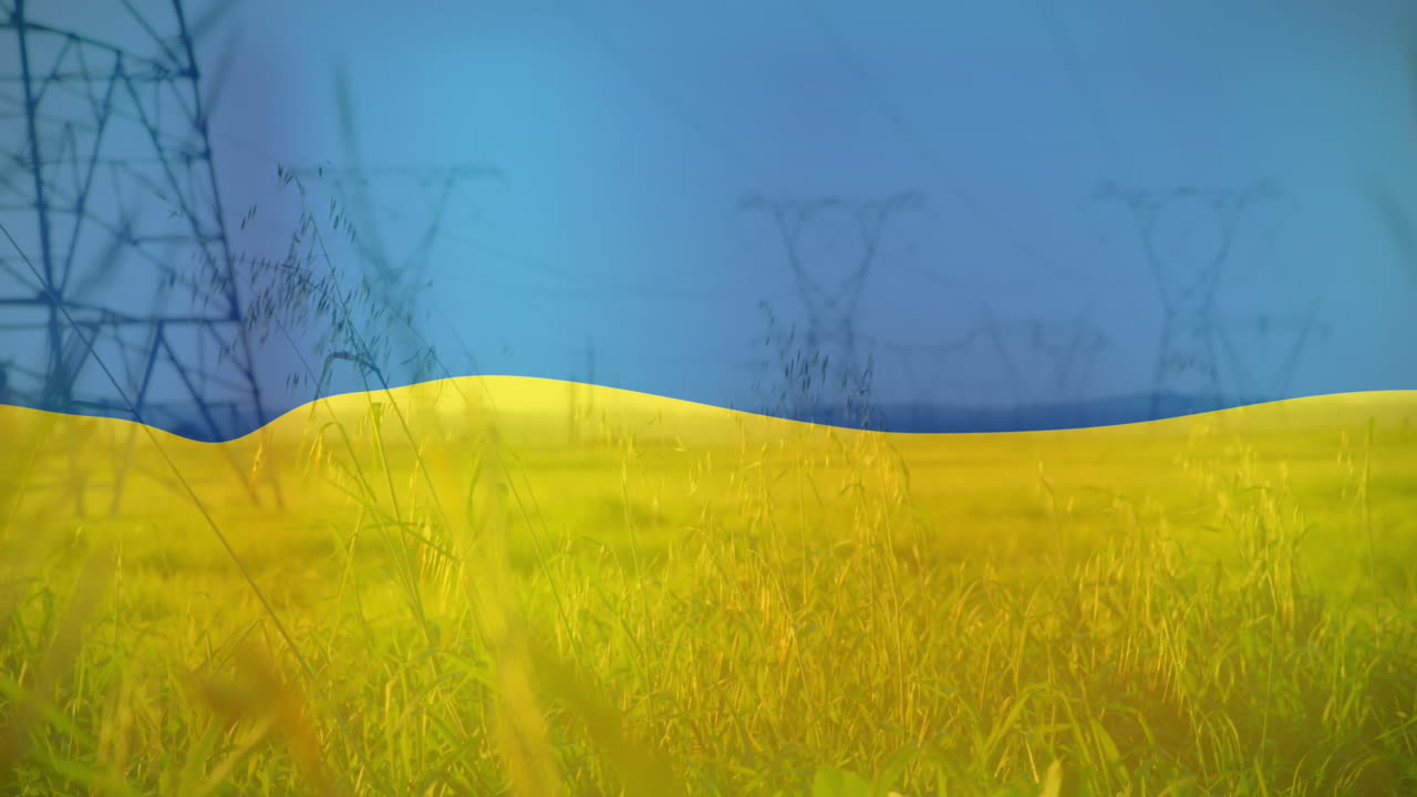 우크라이나의  ⁇ 발의 애니메이션 필드 및 전기 기둥 위에
