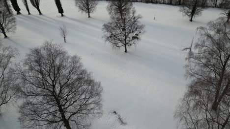 Walensee-Switzerland-forest-park-with-sun-poking-through-side-strafe-flight