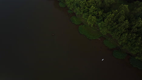 Top-down-aerial-of-wildlife-white-bird-flying-above-water-in-Arkansas-river