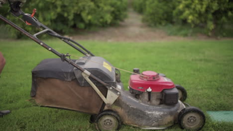 caucasian man pushing lawn mower cutting grass shorts boots gloves day