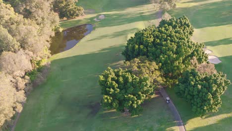 drone footage captures a lush golf course with trees, water hazards, and shadows during golden sunset hour in gold coast, australia