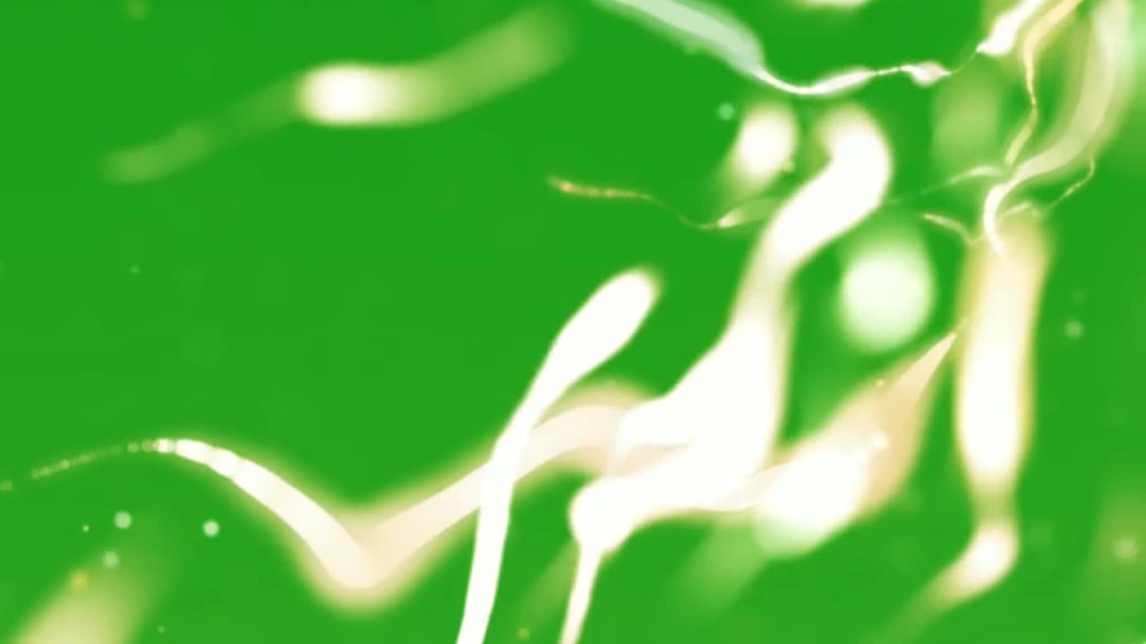 보케는 녹색 스크린 모션 그래픽을 조명합니다.