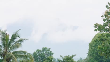 Cloudy-and-foggy-mountain-view-behind-trees-on-a-gloomy-day