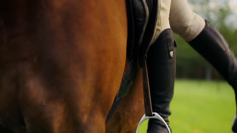 horseback riding