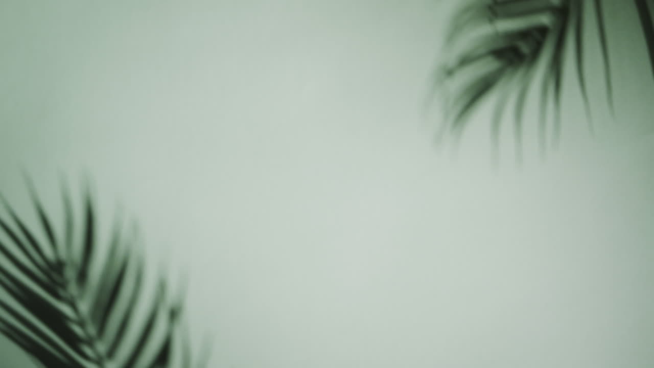 Close up of blurred leaves on green background with copy space in slow motion