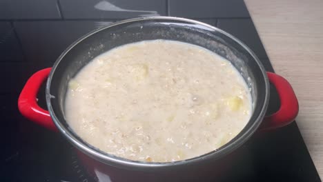 avena sabrosa y saludable con manzana para el desayuno