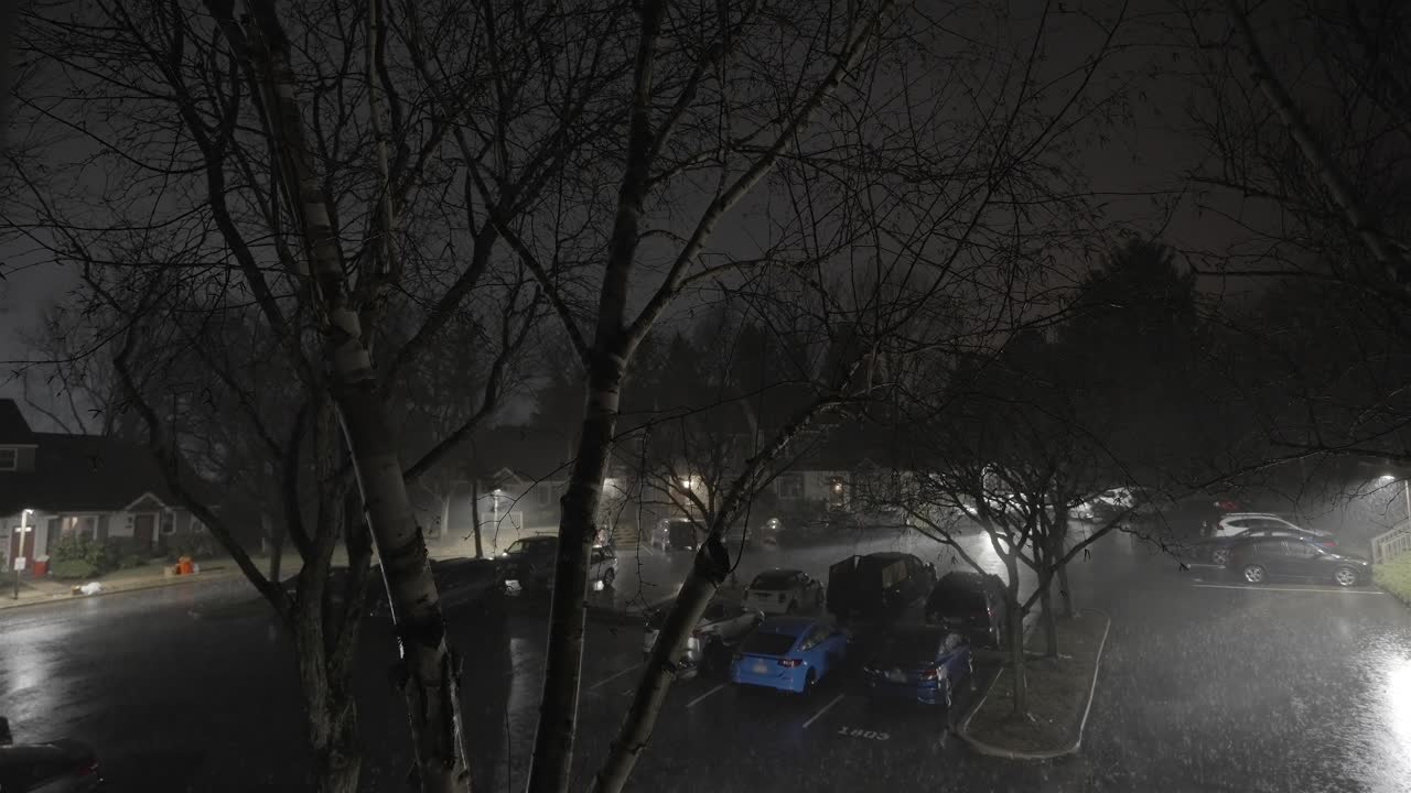 Urban Night Rain Over Parked Cars and Trees