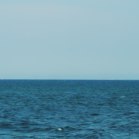 sea with a sailboat on the horizon. sea horizon.
