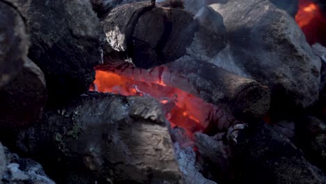 smoldering bonfire at a hut in the oaxaca mexico jungle, close up shot