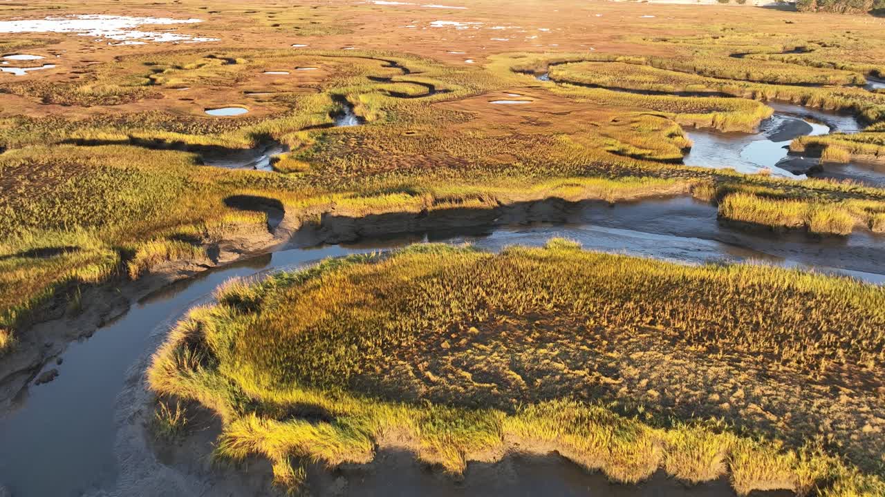 Sunrise aerial of salt marshes at Sandy Neck Beach, Massachusetts, with golden light reflecting on tidal pools