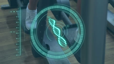animación de procesamiento de datos y escaneo de alcance con cadena de adn sobre hombre caucásico en el gimnasio