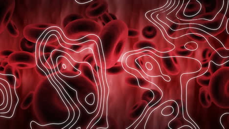 digital animation of topography over multiple blood vessels floating against red background