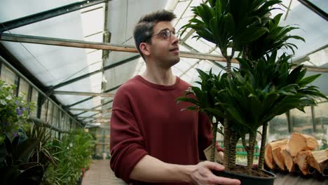 young man in brown sweater and glasses with large green lush plant in specialized plant shop