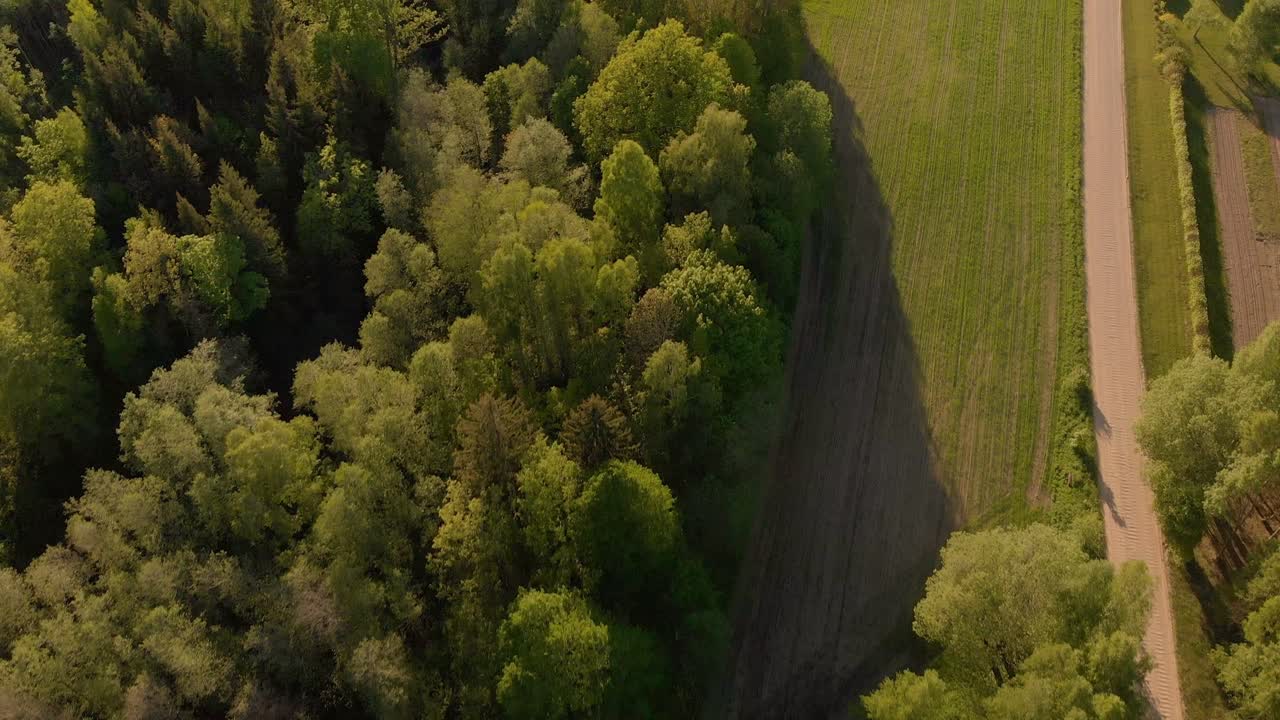 Top down aerial view of countryside road on sunny day, northern Europe
