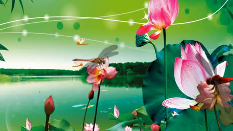 Fantasy-bright-ambience-landscape-of-beautiful-morning-Lotus-pond,-dragonfly,-flying-fish-swimming-on-green-background