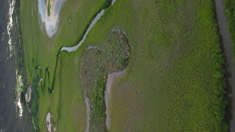 que establece un vuelo aéreo sobre el pantano de manglares cerca de voh, nueva caledonia