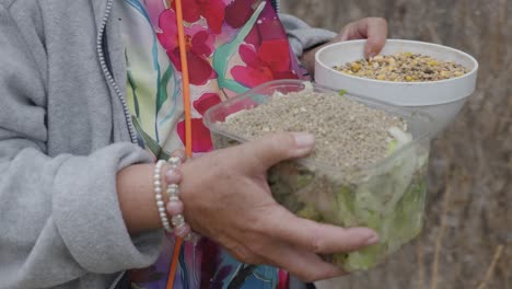woman feeding birds outdoors