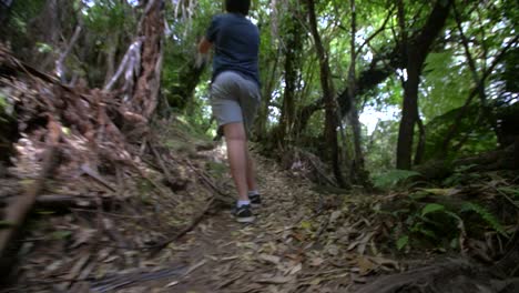 person standing on hiking trail