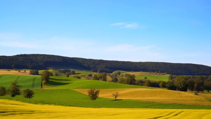 Camera moves steadily past layered rural fields as foreground crops slide across view, while green slopes, isolated trees, and a dark forested ridge remain visible beneath blue sky.