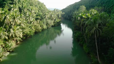 beautiful reflection of the forest edges of the huge filipino jungle in the loboc river on a sunny day in thailand