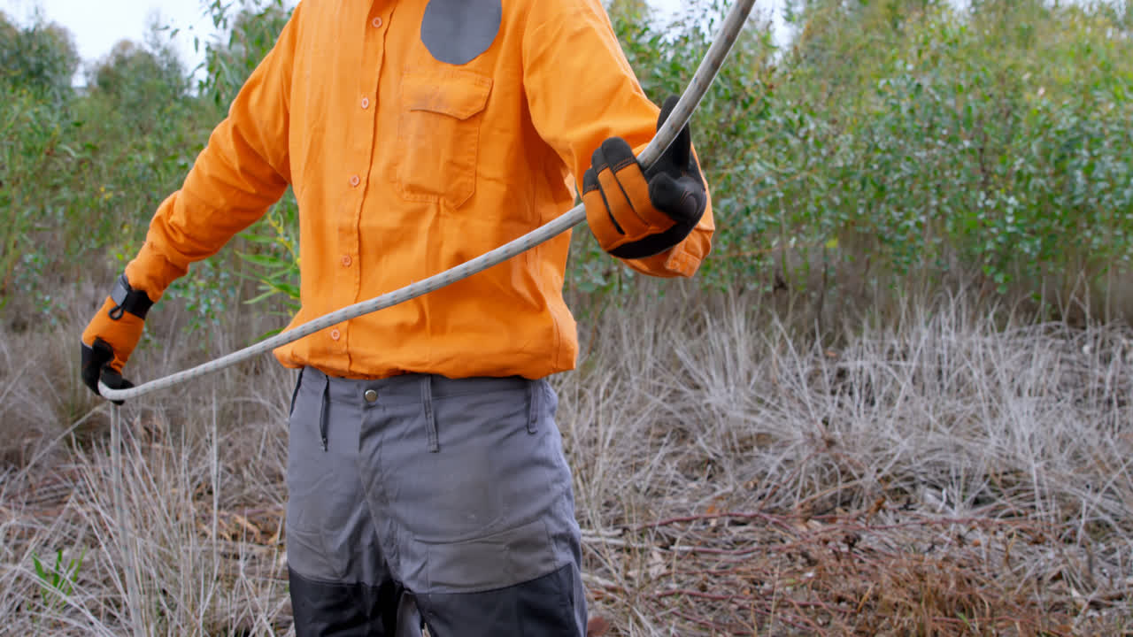 la cuerda de retención del leñador en el bosque 4k