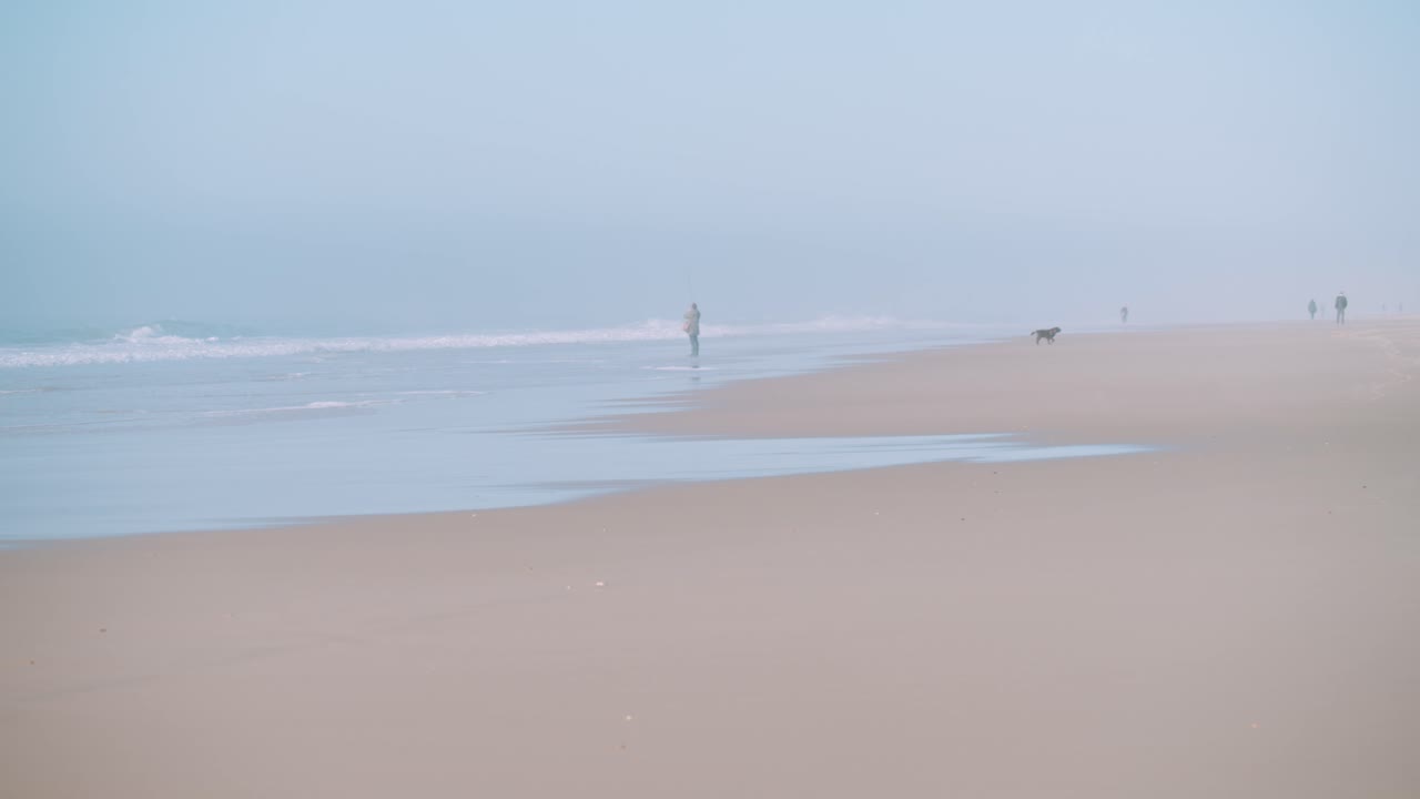 바다에서 도망치는 사람과 개가 있는 평화로운 안개 낀 해변 장면