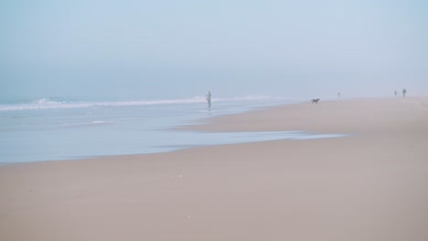 Eine-Friedliche,-Neblige-Strandszene-Mit-Menschen-Und-Einem-Hund,-Der-Vom-Meer-Wegläuft