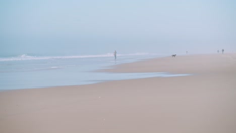 a peaceful misty beach scene with people and a dog running away from the sea