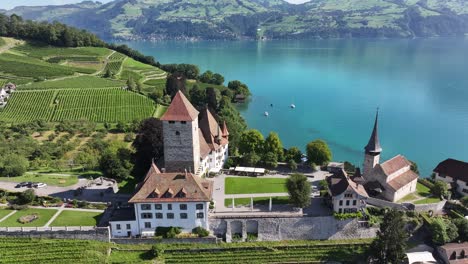 aerial - spiez castle by lake thun with vineyards and mountains in switzerland