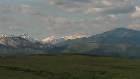 snowy summit of denali range towering above green ridges and tundra foreground, alaska