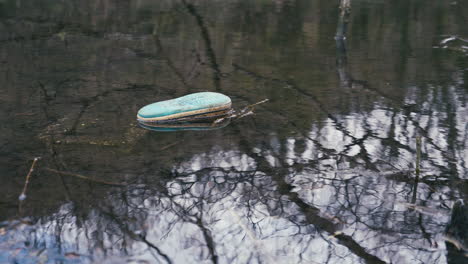 un espectáculo solitario flotando en un lago tranquilo
