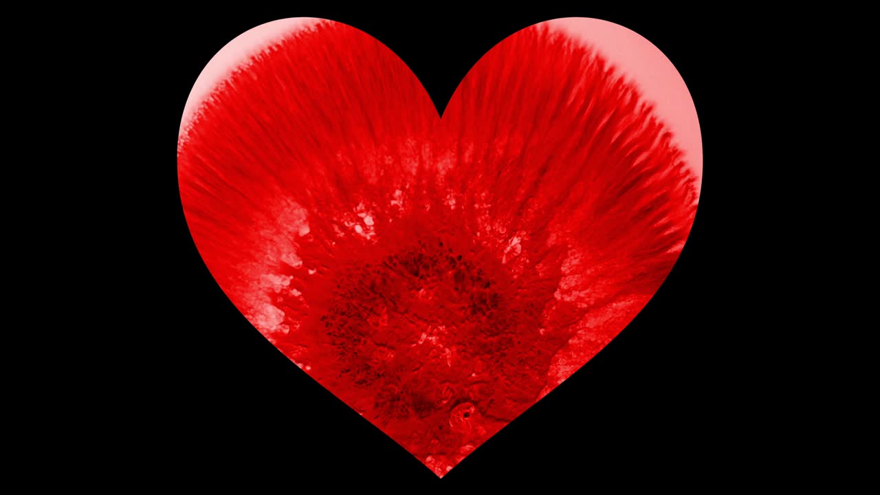 анимация сердца с тремя различными текстурами против черной петли способна на 4k