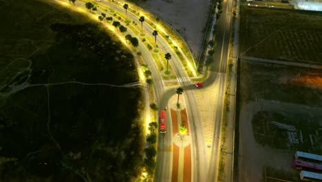 large avenue illuminated with caribbean trees in santiago de chile