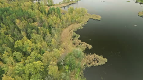 Torre-De-Vigilancia-De-Saltkaret-Con-árboles-Forestales-Otoñales-En-El-Archipiélago-De-Kvarken-En-Finlandia