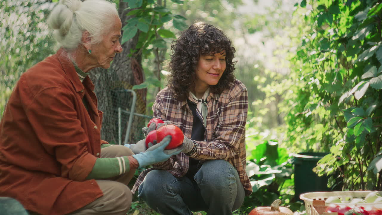 Elderly Woman and Granddaughter Discussing Harvested Tomatoes in Garden
