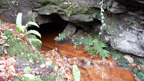 Arroyo-De-Cobre-Colorido-Que-Fluye-Desde-Una-Cueva-Rocosa-En-El-Bosque-Otoñal-Exuberante-Follaje-Dolly-A-La-Derecha