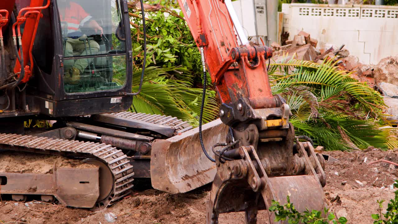 An orange hydraulic excavator uses a claw attachment to uproot and move a palm tree in a suburban Gold Coast environment, under natural daylight