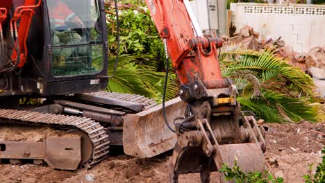 an orange hydraulic excavator uses a claw attachment to uproot and move a palm tree in a suburban gold coast environment, under natural daylight