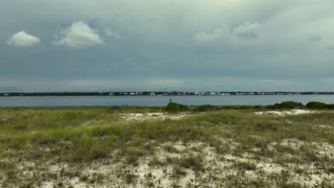 Gran-Garza-Gris-Cerca-De-La-Playa-De-Johnson