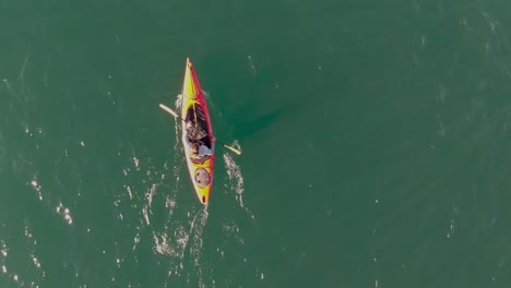 aerial view of a kayaker paddling in a kayak.
