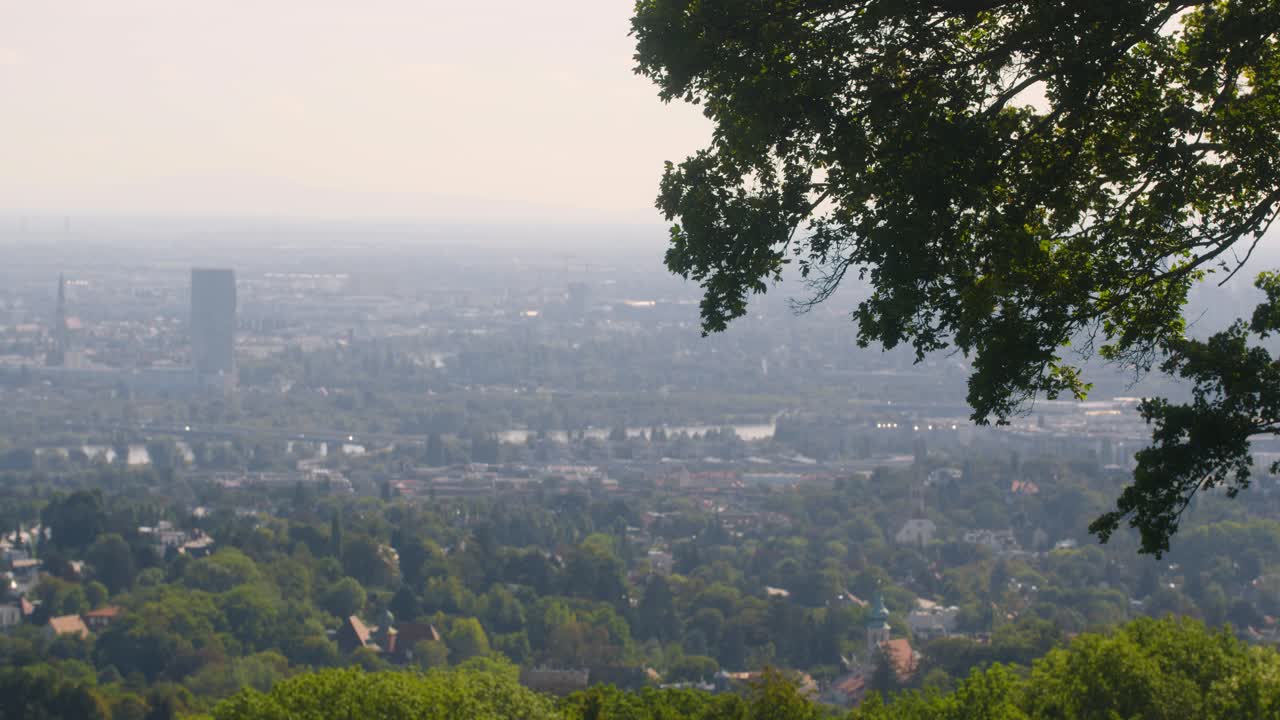 도심을 향한 공중 비엔나 도시 전망