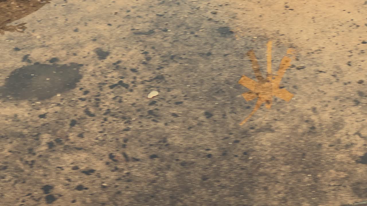 отражающий асфальт отражает суть прибрежной испанской рыбацкой деревни, усиленную присутствием отличительного желтого буя.