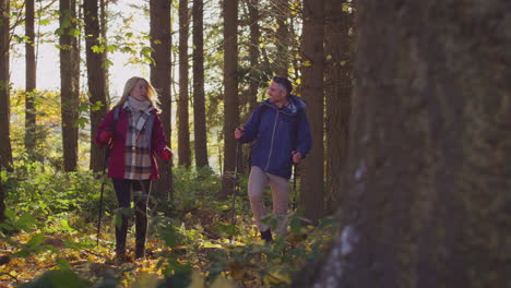 mature couple walking through fall or winter countryside using hiking poles - shot in slow motion