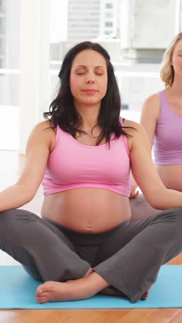 pregnant women doing yoga in fitness studio