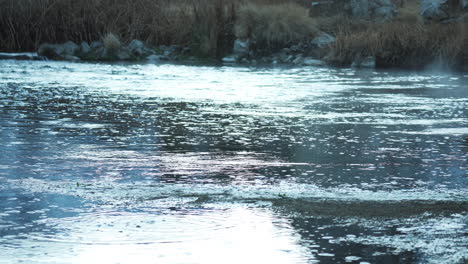 boiling hot springs in water stream, hot creek geological site, medium