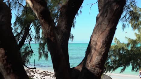 hermosa playa en una isla privada en mauricio